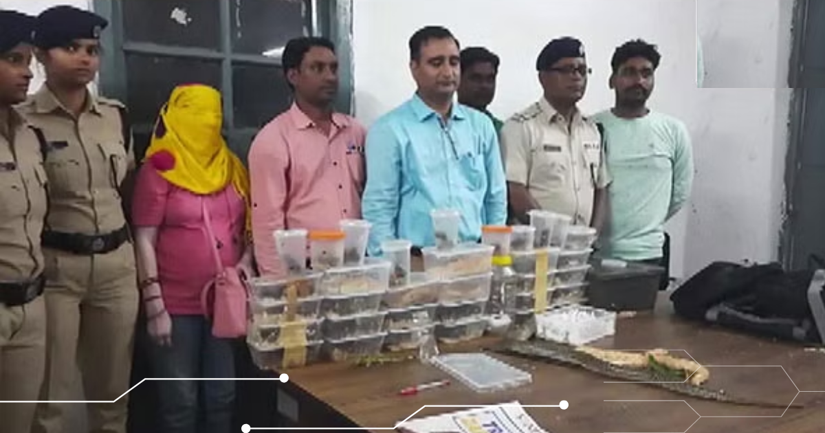 Jharkhand: Woman arrested for smuggling 28 exotic species of Cobra